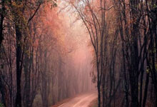 2025WTT新加坡大满贯:王曼昱晋级32强新华社微博.