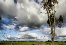 25分14板11助+三分压哨绝杀！基迪太狠了，刷爆NBA纪录，未来可期.