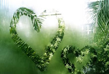 4月1日,辽宁男篮收获两好一坏消息,卫冕冠军季后赛喜忧参半.