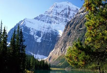 4月1日,辽宁男篮收获两好一坏消息,卫冕冠军季后赛喜忧参半.