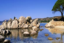 德甲:拜仁慕尼黑1比0击败门兴格拉德巴赫.